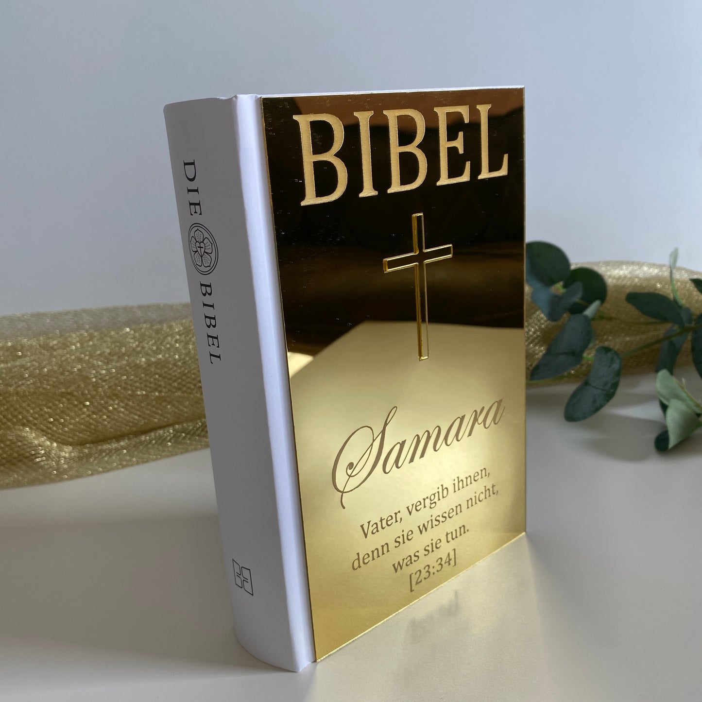 Bibel für Erwachsene